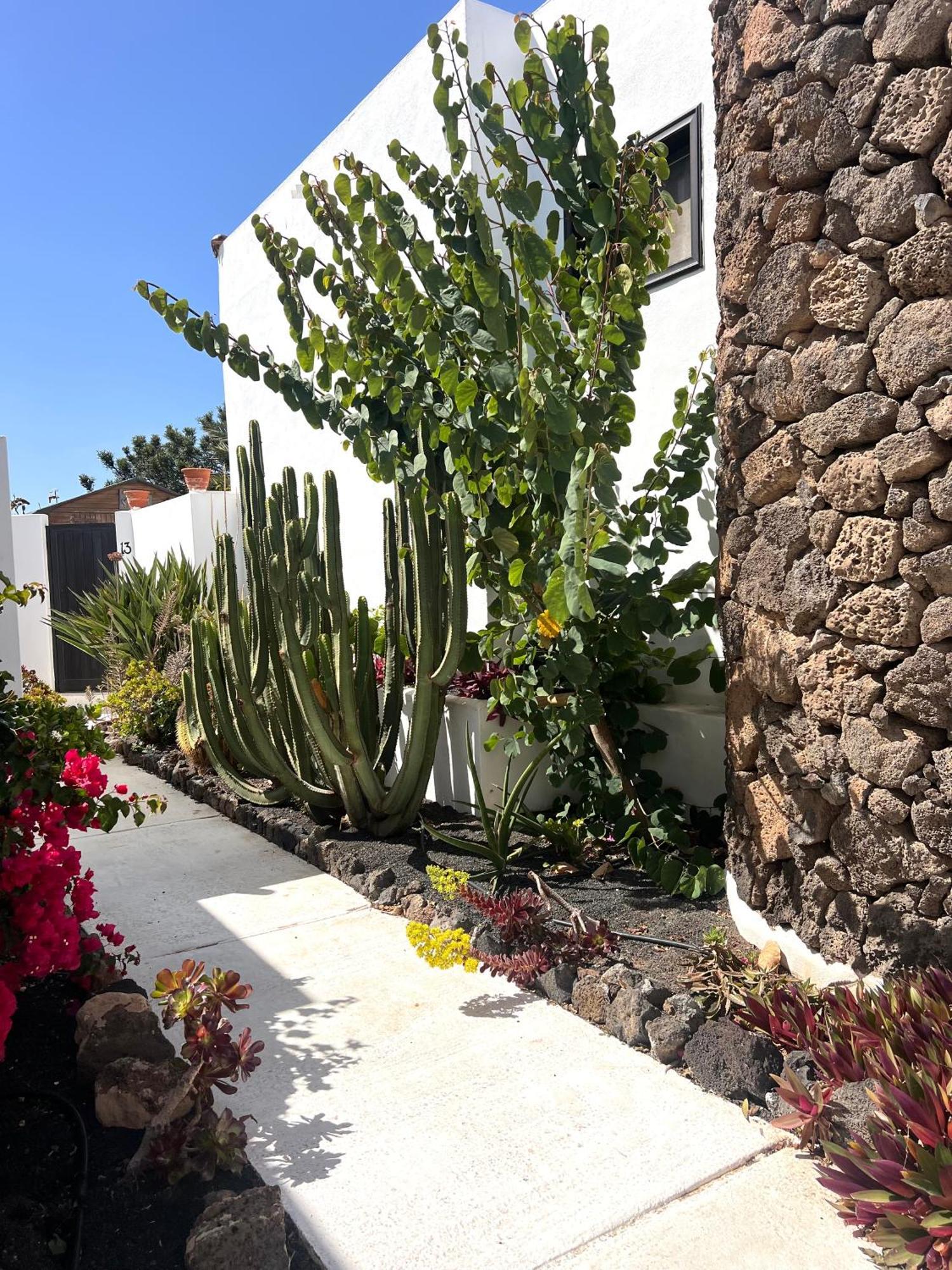 Oasis En Lanzarote Βίλα Costa Teguise Εξωτερικό φωτογραφία