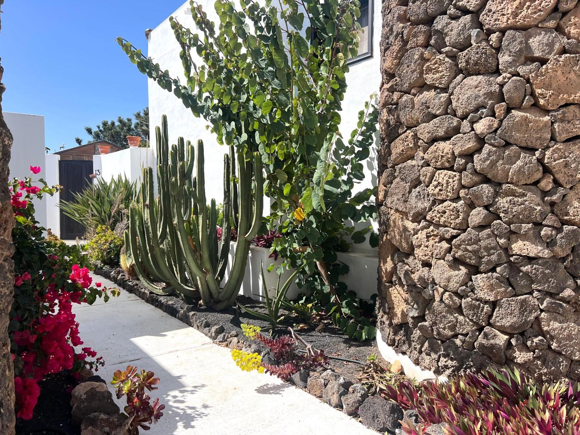 Oasis En Lanzarote Βίλα Costa Teguise Εξωτερικό φωτογραφία