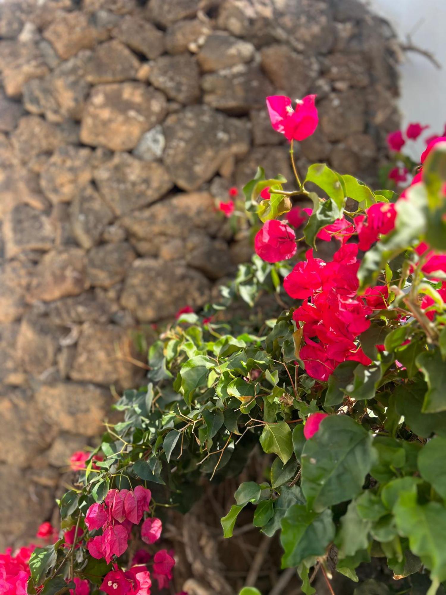 Oasis En Lanzarote Βίλα Costa Teguise Εξωτερικό φωτογραφία